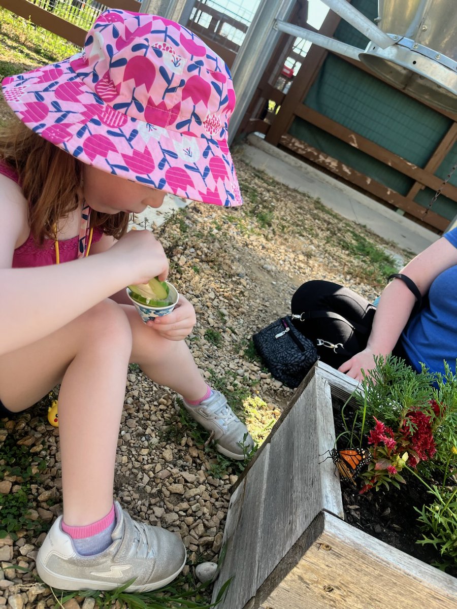 CMSMPlay's tweet photo. Mayo Clinic Health System Healthy Habits - Summer Safety is starting June 7 from 10-11:30am! Joined by MCHS residents &amp; providers in the Dotson Back 40, we will be talking about staying hydrated, sampling infused ice water, finding out what are the best kinds of sunscreen &amp; more! https://t.co/LvYKUm0xQm