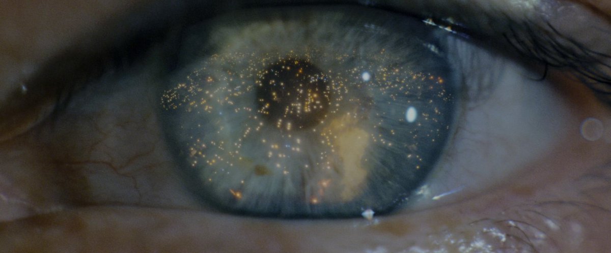 TheCinesthetic's tweet photo. Blade Runner (1982) dir. Ridley Scott https://t.co/iQfQREWAfR