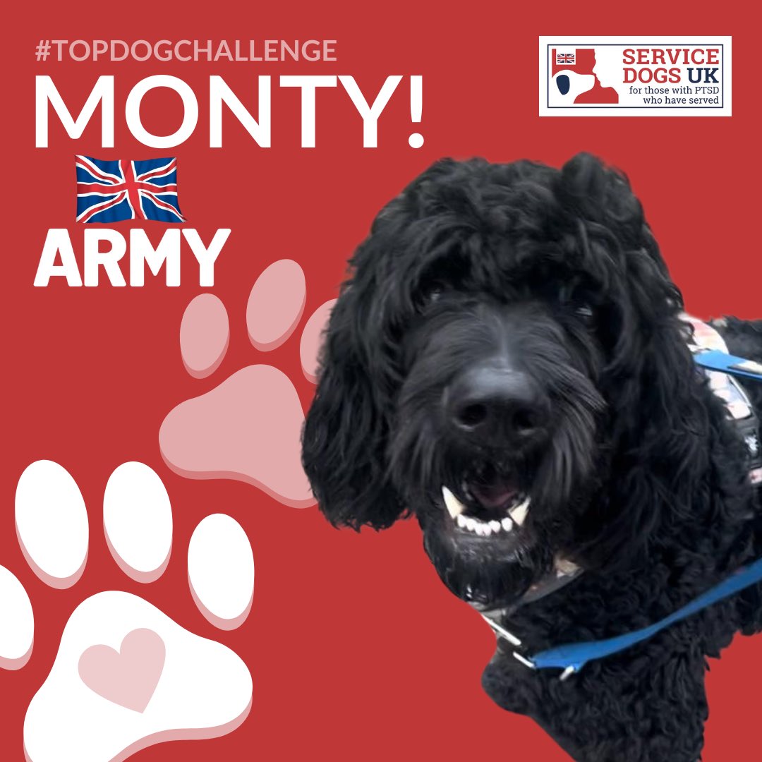 ServiceDogsUK's tweet photo. Introducing Monty, a small horse with a huge heart! ๐พ
He is representing the @BritishArmy for our #TopDogChallenge!
Monty is incredibly caring, and loves to splash around in muddy puddles!
Today, Monty has been out celebrating D-Day!
Support Monty ๐ https://t.co/XuLo3mPm80 https://t.co/ORbxTerspB