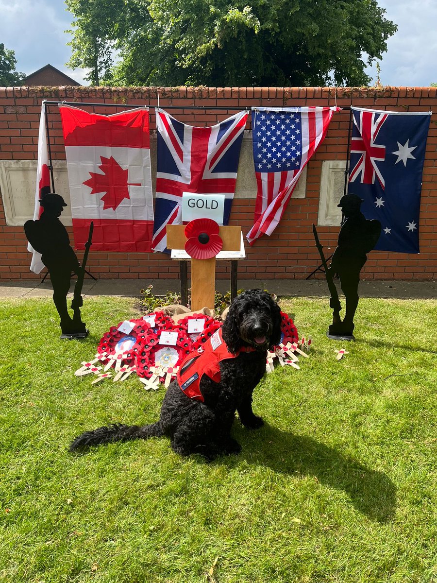 ServiceDogsUK's tweet photo. Introducing Monty, a small horse with a huge heart! ๐พ
He is representing the @BritishArmy for our #TopDogChallenge!
Monty is incredibly caring, and loves to splash around in muddy puddles!
Today, Monty has been out celebrating D-Day!
Support Monty ๐ https://t.co/XuLo3mPm80 https://t.co/ORbxTerspB