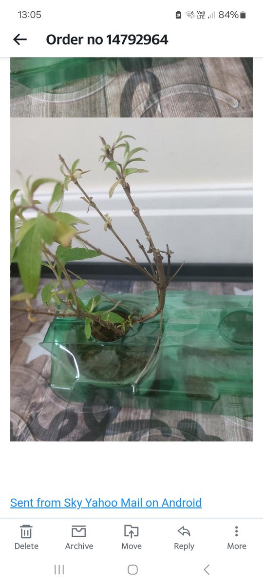 Lorraine Bushell tweet media