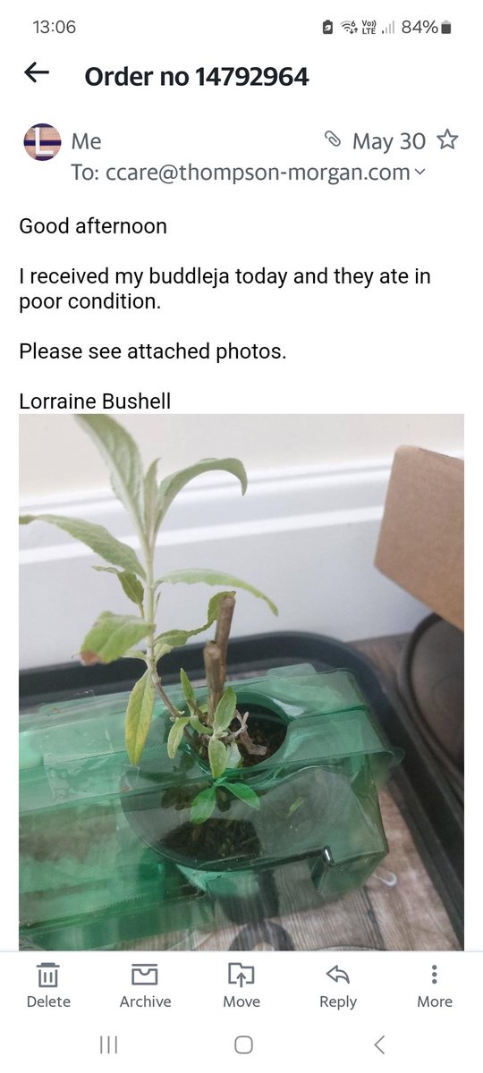 Lorraine Bushell tweet media