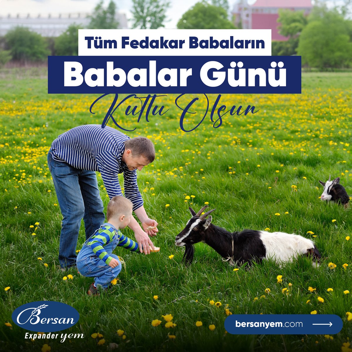 BersanYem's tweet photo. Tüm fedakar babaların Babalar Günü Kutlu Olsun.

.
.
.
🔎 https://t.co/UT1Om4toGf
☎️ 0332 717 00 15
.
.
#bersanyem #yem #hayvanyemi #besiyemi #küçükbaşyemi #sütyemi #büyükbaşyemi #tarım #hayvancılık #çiftçi #koyunsütyemi #büyükbaşsütyemi https://t.co/kpNgHpXPAm