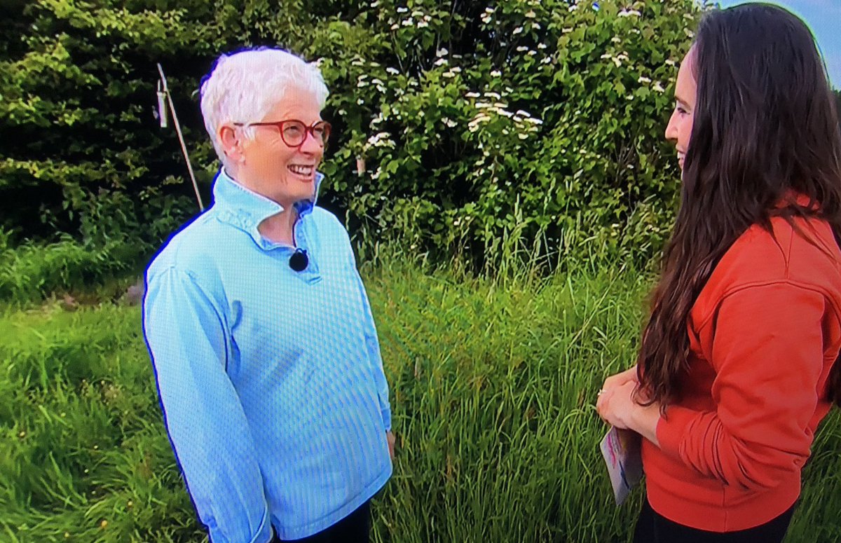 Argaty Red Kites tweet media