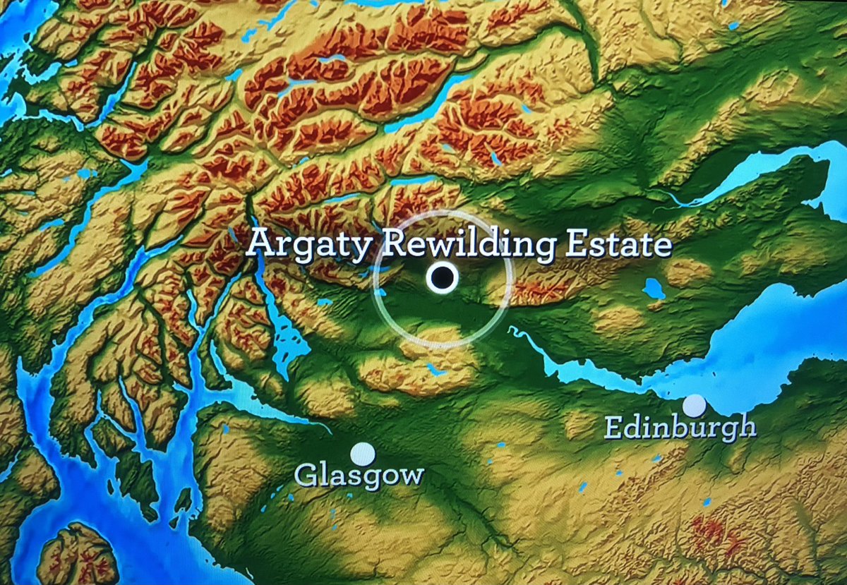 Argaty Red Kites tweet media