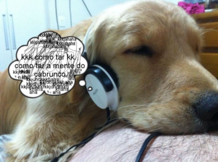 YE4ZY's tweet photo. é tão exaustivo e humilhante ter que perder tudo oq eu já tinha perdido simplesmente pq me permiti igual uma vagabunda, e agr eu tenho que lidar com as consequências disso https://t.co/BZgeFgY2VX