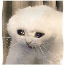 britishbanterz's tweet photo. Me realising I hadn’t even started multiple choice in physics paper 2 and there was 25 minutes left
#alevels2024 #alevelphysics #physicspaper2 #aqa #alevelphysicspaper2aqa https://t.co/Ql4GcLIfv1