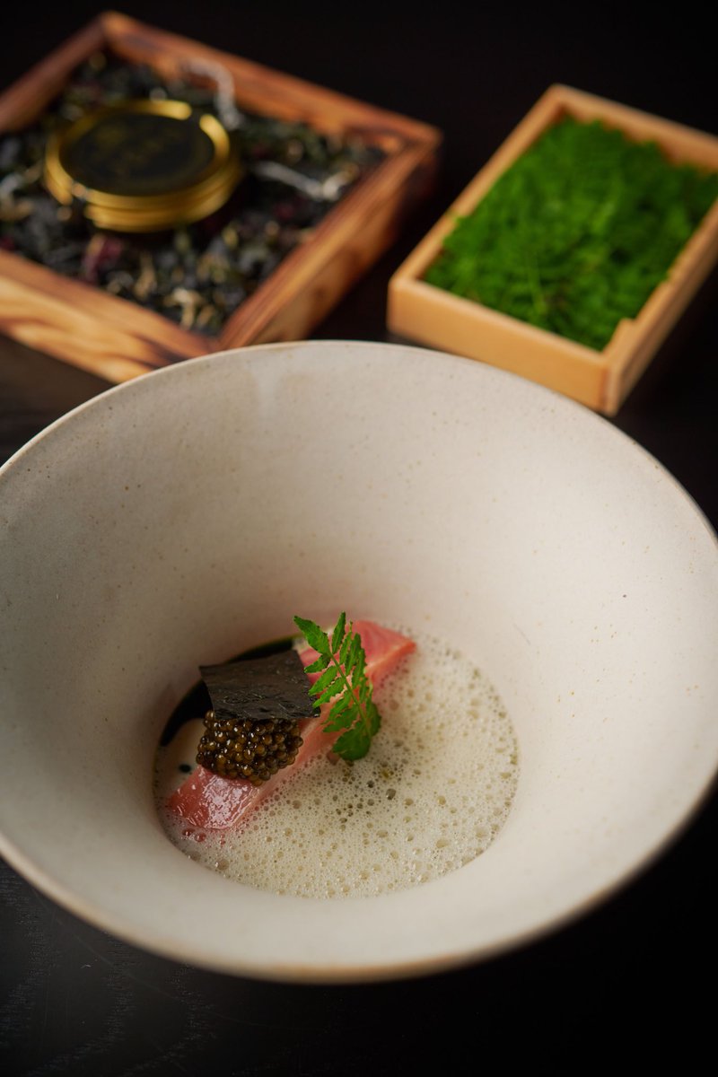 Welcome to Sheffield tweet media