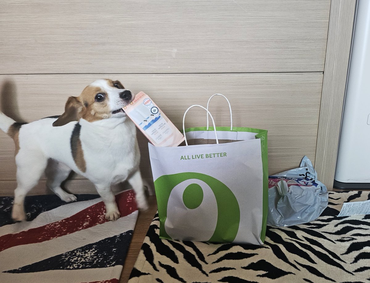 올영 세일 도둑 사건