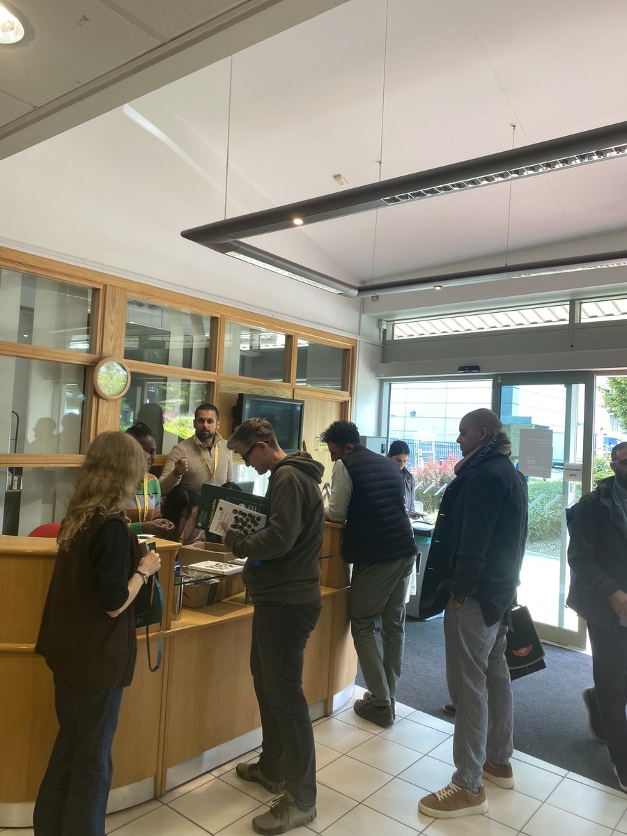 Peace Studies & International Development tweet media