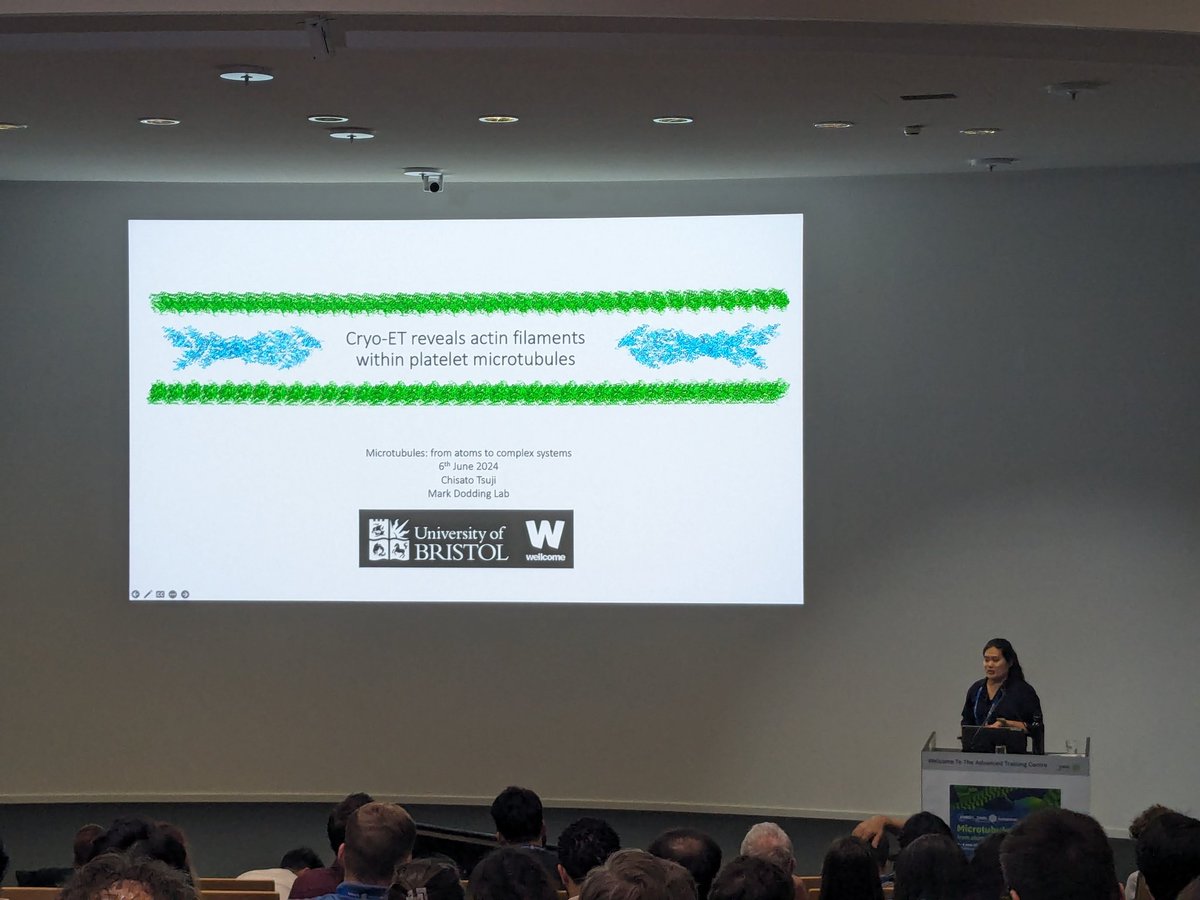 Jessica Cross (@jessica_a_cross) on Twitter photo Brilliant talk from <a href="/ChisatoTsuji/">Chisato Tsuji</a>, <a href="/MarkDodding/">Mark Dodding</a> lab at #EESMicrotubules <a href="/EMBLEvents/">EMBL Events</a> using Cryo-ET to study actin filaments within platelet microtubules! biorxiv.org/content/10.110… Brilliant talk from <a href="/ChisatoTsuji/">Chisato Tsuji</a>, <a href="/MarkDodding/">Mark Dodding</a> lab at #EESMicrotubules <a href="/EMBLEvents/">EMBL Events</a> using Cryo-ET to study actin filaments within platelet microtubules! biorxiv.org/content/10.110…