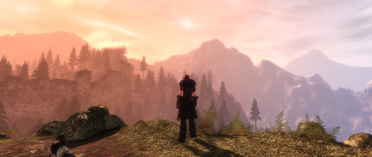 TiPanda's tweet image. #Fable #UltraWideScreen