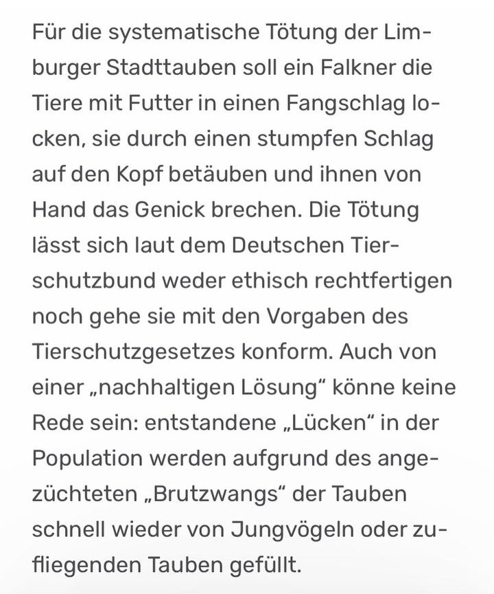 wildtierhilfeKG's tweet image. Liebe Limburger!
Eure Stimme entscheidet in Limburg nun über Leben und Tod der Stadttauben.
Bitte stimmt mit &quot;JA&quot; beim Bürgerentscheid dafür, dass der Beschluss der Kreisstadt Limburg aufgehoben wird!
Ein dickes JA mit zehn Ausrufezeichen! 
Denn Limburg plant, die Tauben durch
