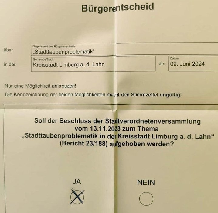 wildtierhilfeKG's tweet image. Liebe Limburger!
Eure Stimme entscheidet in Limburg nun über Leben und Tod der Stadttauben.
Bitte stimmt mit &quot;JA&quot; beim Bürgerentscheid dafür, dass der Beschluss der Kreisstadt Limburg aufgehoben wird!
Ein dickes JA mit zehn Ausrufezeichen! 
Denn Limburg plant, die Tauben durch