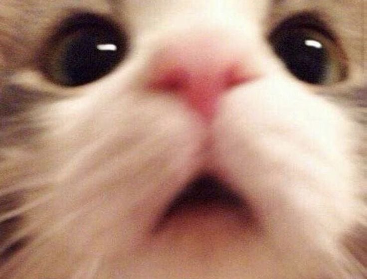 Rikittew's tweet photo. https://t.co/KOsqx3jkxj