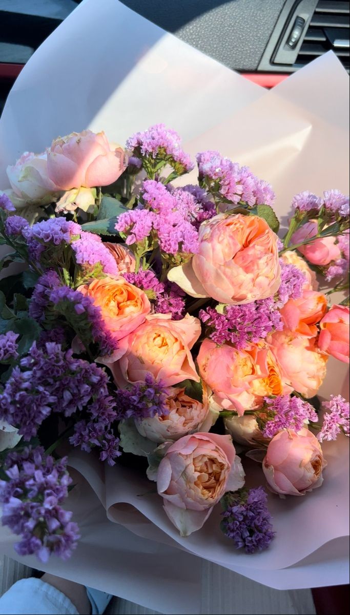 dvnxer's tweet photo. Hey, take these (⁠◍⁠•⁠ᴗ⁠•⁠◍⁠) https://t.co/amQ4uYWhTm