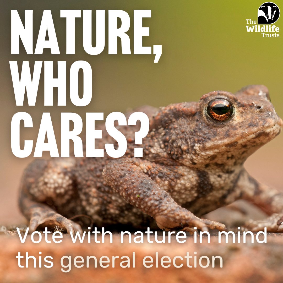 📢 New poll reveals the majority of people believe the main parties are falling short on addressing the nature and climate crises. With nature in freefall and urgent action needed, it's crucial we hold our leaders accountable.🌎 Read more 👉🏼 wtru.st/4e906jc