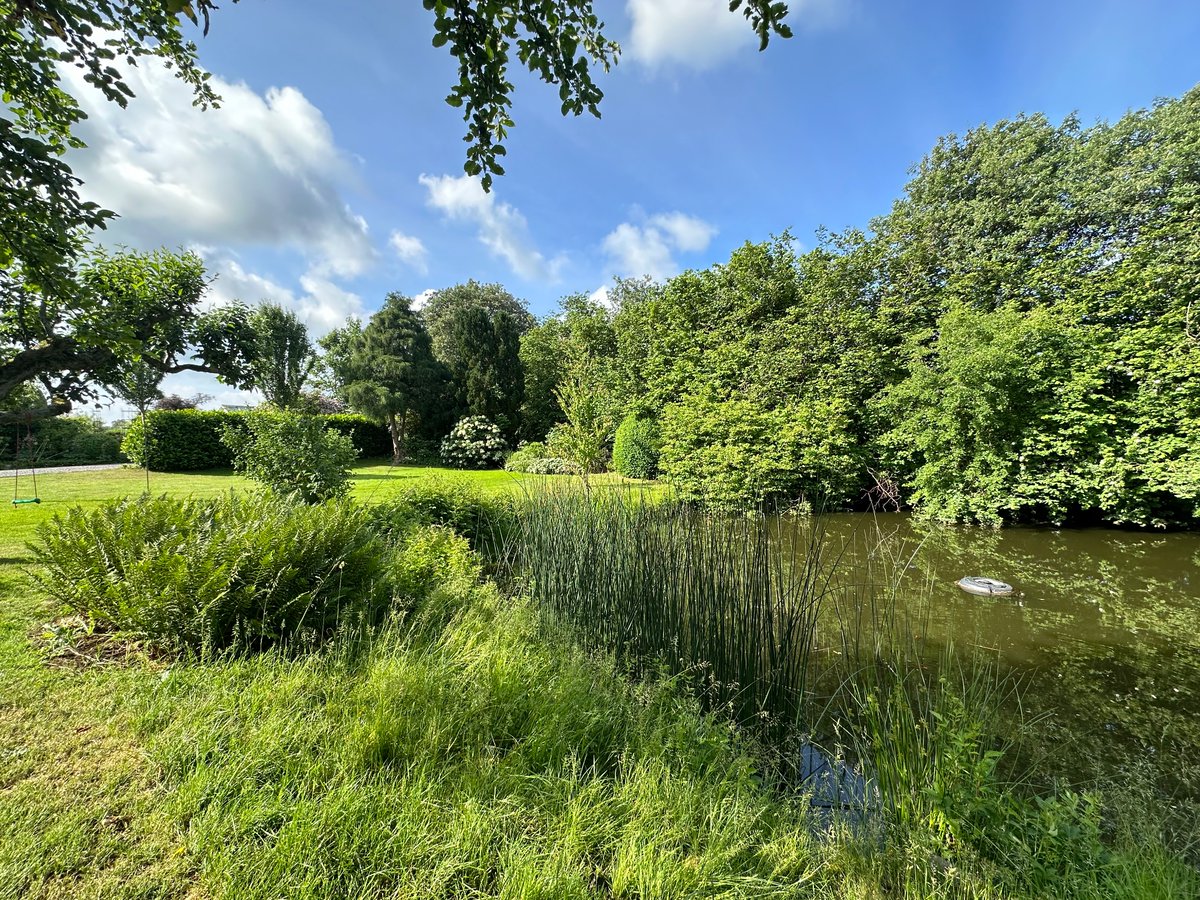 Leanne J tweet media