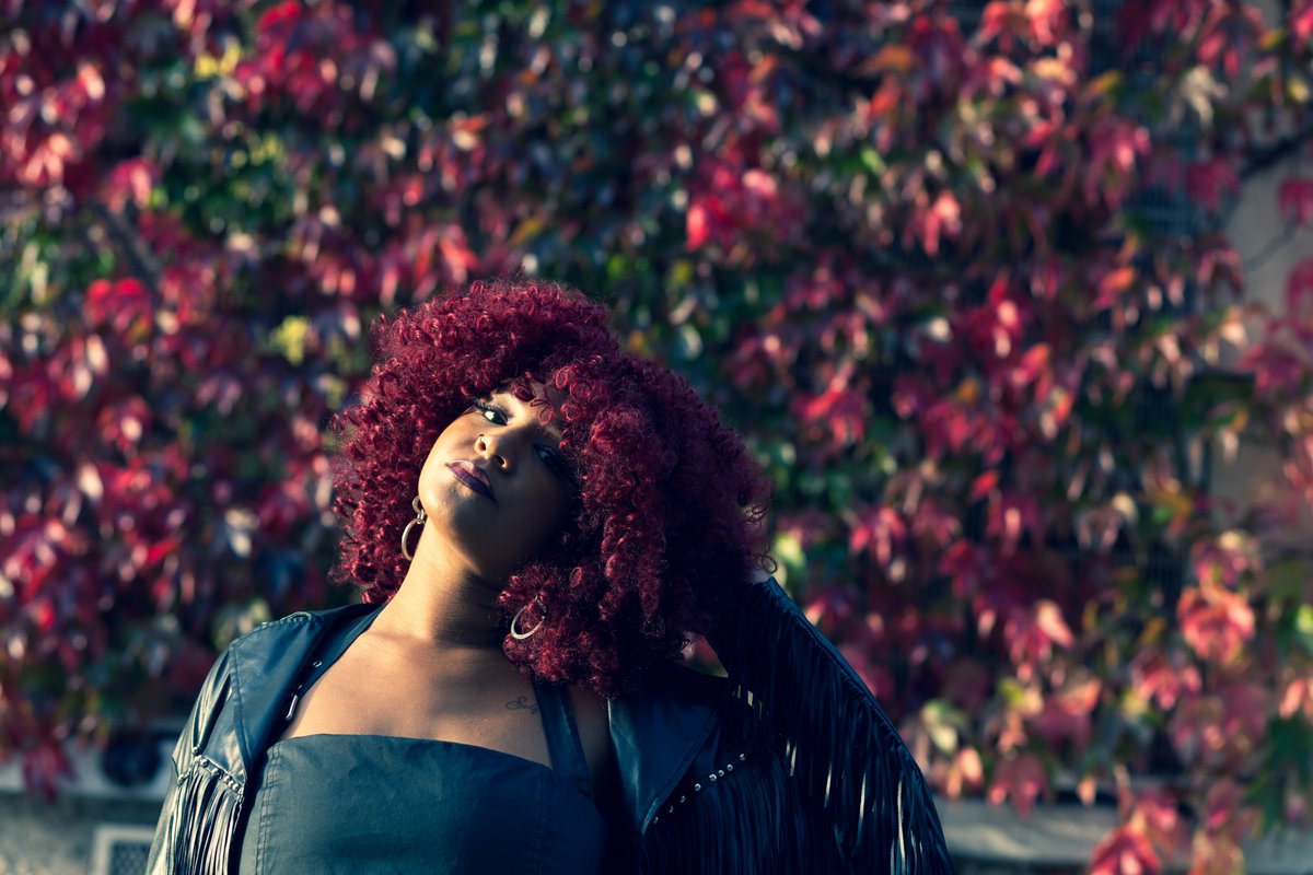 Festival in a Van tweet media