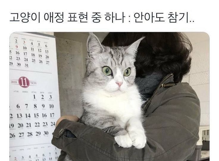 vanessaa0515's tweet photo. 👇짤 하나로 설명이 다 됨 https://t.co/Nd2Xxoh7Vm