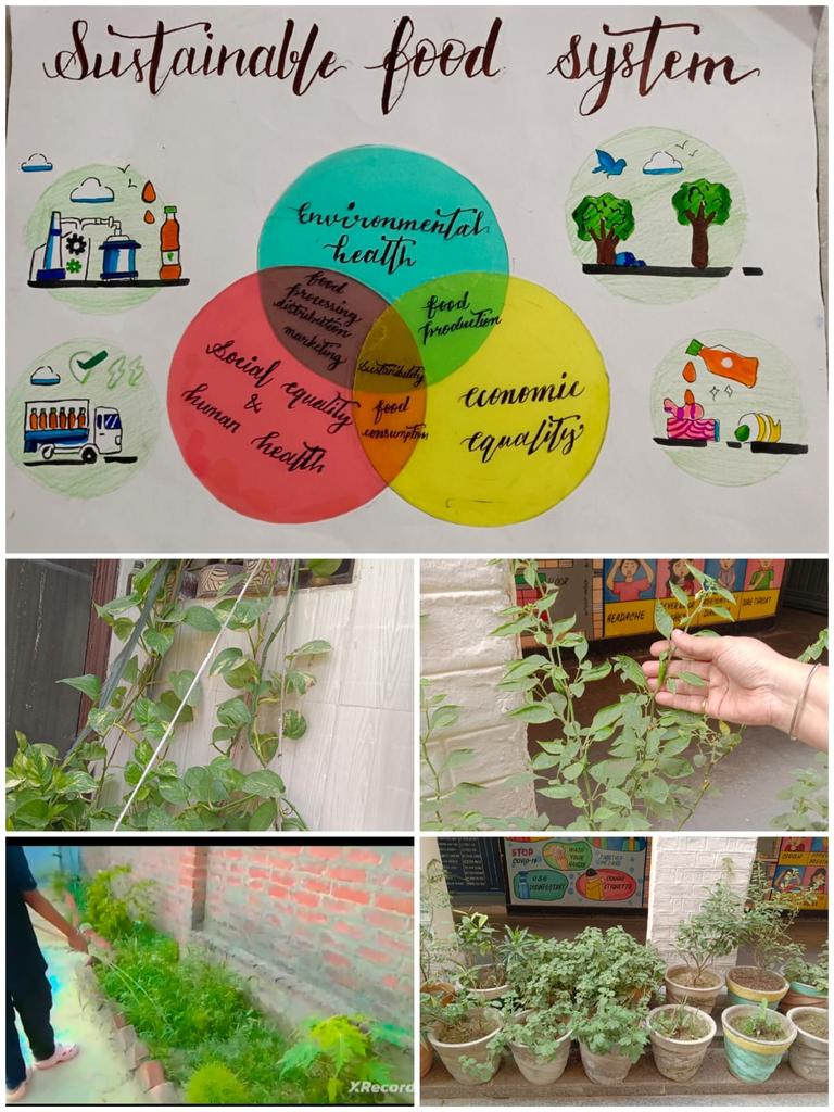 World Environment Day 
*Mission Life* *Day 2* 
*Theme* - *Adopt Sustainable Food System*
Activities-
1. Poster Making
2. Maintaining Terrace and Kitchen garden