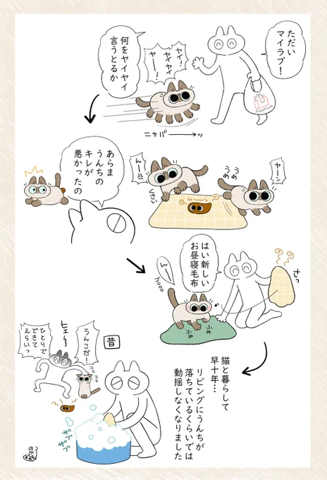 慣れって怖い #シャム猫あずきさんは世界の中心 
