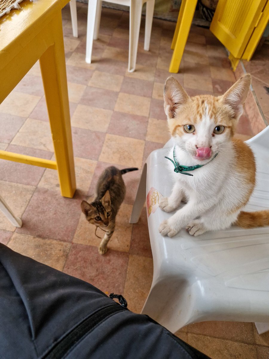 Tim Cycles The Coast tweet media