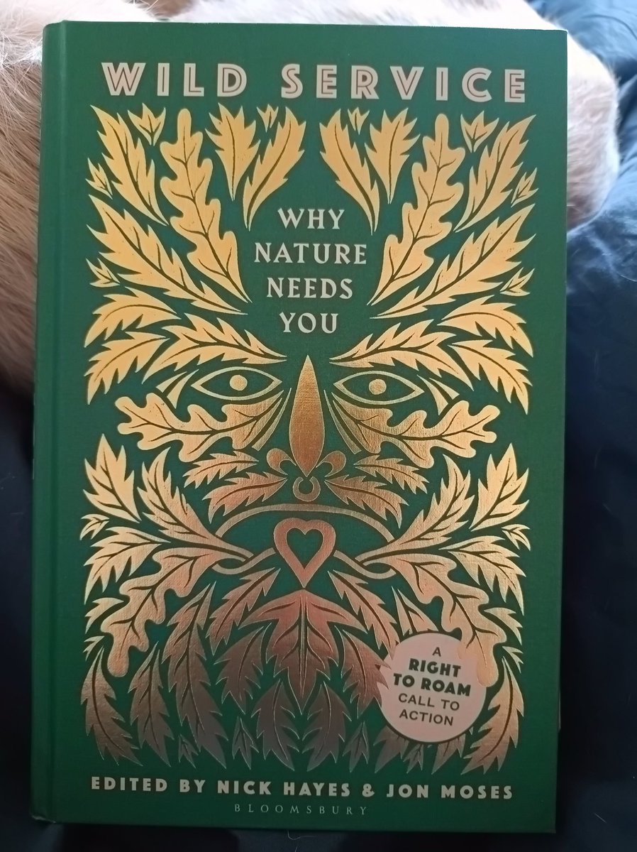 YvonneConchie's tweet photo. Day6 of #30DaysWild
I work a lot with #ChurchBuildings & have almost 4 decades working for #NatureConnection under my belt too. The prologue of this book brings some of the best of the two together. Looking forward to reading the rest.
#congregation
Cont... https://t.co/IxaqVkxx07