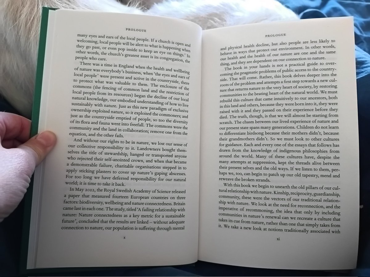 YvonneConchie's tweet photo. Day6 of #30DaysWild
I work a lot with #ChurchBuildings & have almost 4 decades working for #NatureConnection under my belt too. The prologue of this book brings some of the best of the two together. Looking forward to reading the rest.
#congregation
Cont... https://t.co/IxaqVkxx07