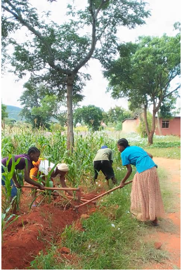 tanzdevtrust's tweet photo. #TDTPhotoComp📸
🧑🎓Deaf students at Matumbulu Vocational Training Centre, Dodoma 🇹🇿 help lay irrigation pipes so they can expand their food production and improve their diet🍚
More: https://t.co/xfQazIrGER
#TDTPartners #QualityLearning #MatumbuluDeafStudents #EndHunger #ActNow https://t.co/tVJccnuTO3