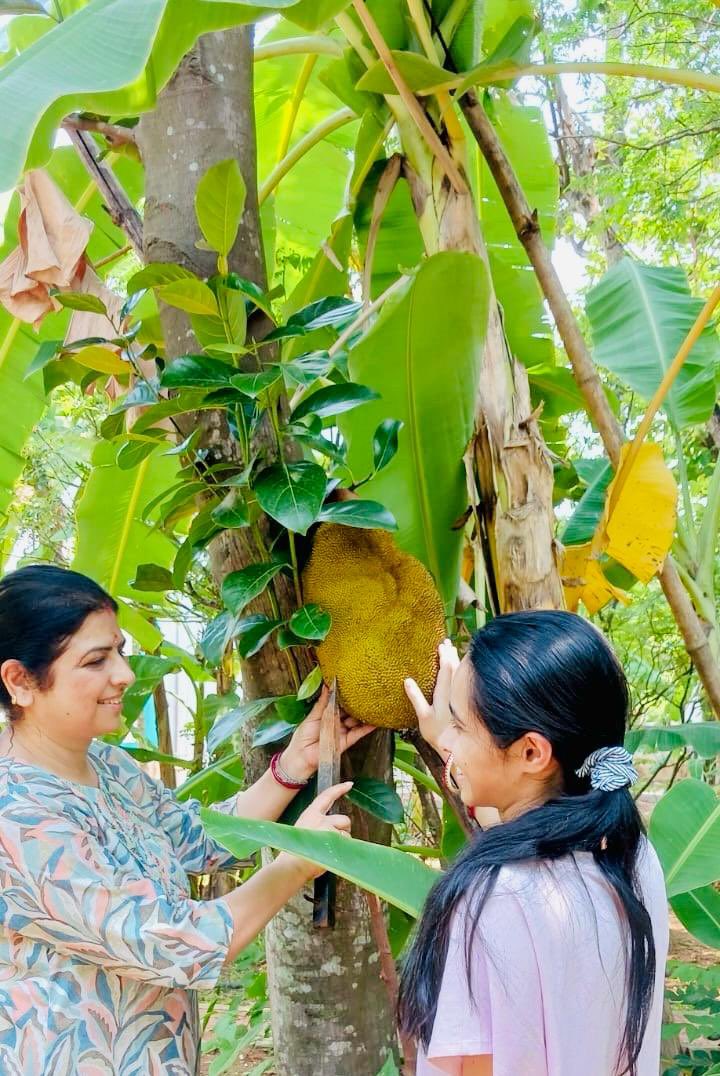 1925040School's tweet photo. Let us all take pledge to adopt sustainable food systems in our lives. Take initiative to include millets in daily diet and prefer to have locally available seasonal foods. 
#Mission LiFE
#Sustainable Food Systems 
@Dir_Education 
@mfor_manish https://t.co/MJvwX0JiUv
