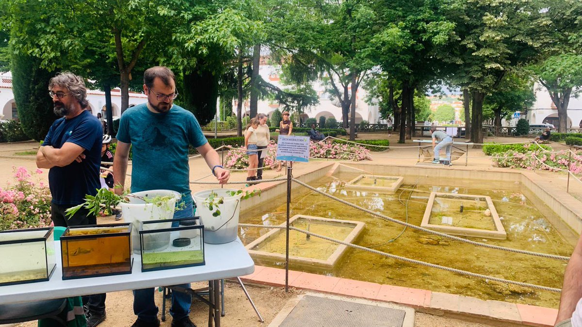 SIGTE - UdG tweet media