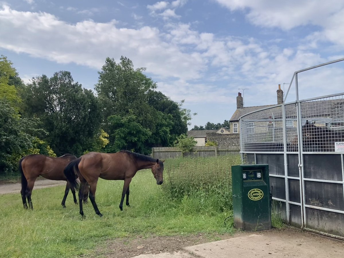 JohnWathenBerry's tweet photo. A bit chilly again overnight @NewmarketGallop, 8 degrees, but bits blue sky are appearing and it should be a nice enough day. Currently 12 degrees, forecast high 17 #CloudyRose #MesMaisel #Eljaytee https://t.co/g3fEHkaNuT
