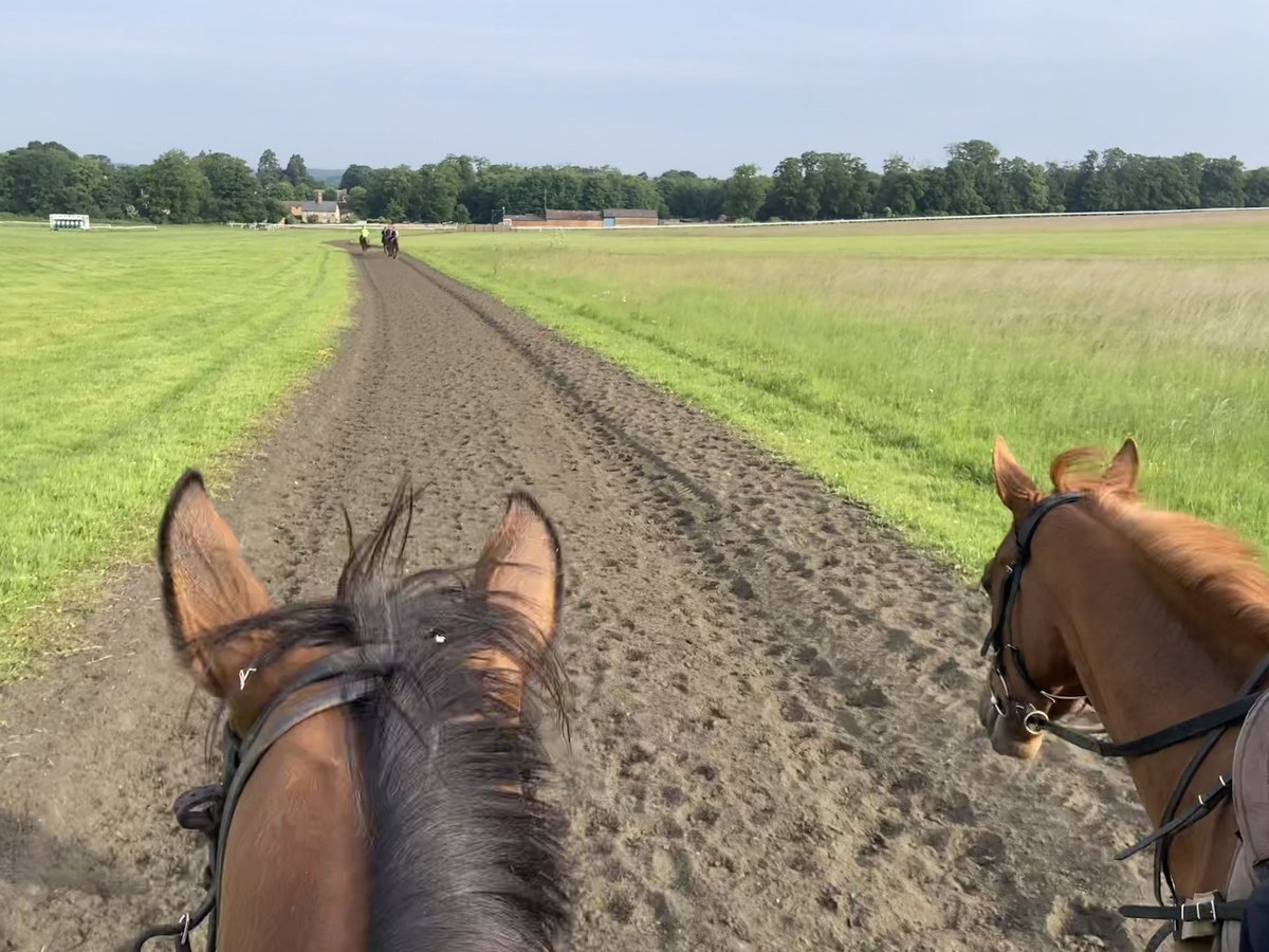 JohnWathenBerry's tweet photo. A bit chilly again overnight @NewmarketGallop, 8 degrees, but bits blue sky are appearing and it should be a nice enough day. Currently 12 degrees, forecast high 17 #CloudyRose #MesMaisel #Eljaytee https://t.co/g3fEHkaNuT