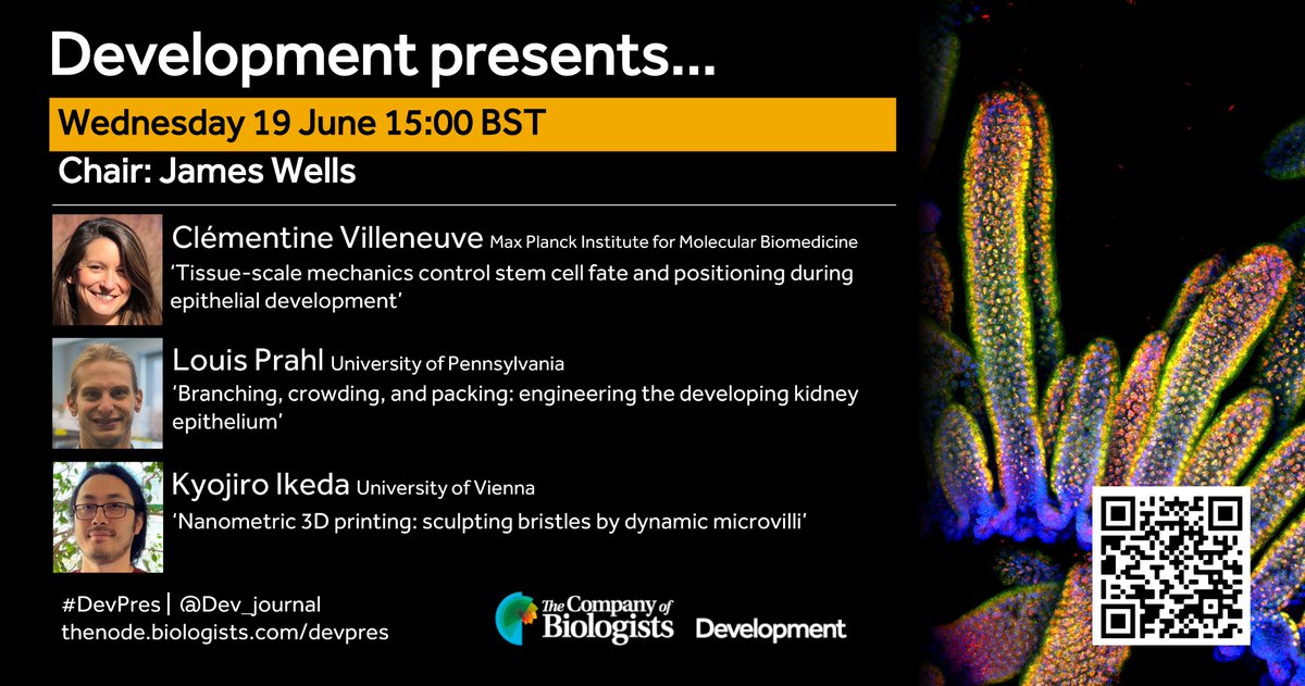 the Node (@the_node) on Twitter photo Our next Development presents... webinar is chaired by <a href="/Dev_journal/">Development</a> Editor <a href="/JimWellsLab/">Jim Wells Lab</a> and will feature three talks on #mechanics and #morphogenesis from <a href="/Clem_Villeneuve/">Clementine Villeneuve</a>, <a href="/lsprahl/">Louis Prahl</a> and <a href="/beingKyo/">Kyo Ikeda (Kyojiro N Ikeda)</a>.
📅Wed 19 June 15:00BST
Register now! 👇
us02web.zoom.us/webinar/regist…
#DevPres #DevBio Our next Development presents... webinar is chaired by <a href="/Dev_journal/">Development</a> Editor <a href="/JimWellsLab/">Jim Wells Lab</a> and will feature three talks on #mechanics and #morphogenesis from <a href="/Clem_Villeneuve/">Clementine Villeneuve</a>, <a href="/lsprahl/">Louis Prahl</a> and <a href="/beingKyo/">Kyo Ikeda (Kyojiro N Ikeda)</a>.
📅Wed 19 June 15:00BST
Register now! 👇
us02web.zoom.us/webinar/regist…
#DevPres #DevBio