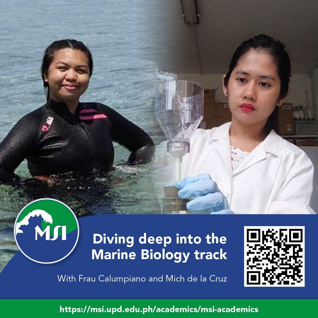 What is it like to be a graduate student at UP MSI? Frau Calumpiano and Mich de la Cruz share their experiences  in the Marine Biology track in this feature, the first in a three-part series on UP MSI’s academic specializations for graduate students. Read: msi.upd.edu.ph/diving-deep-in…