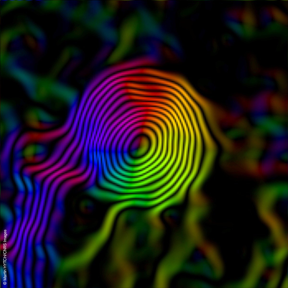 CNRS Occitanie Ouest (@cnrs_toulouse) on Twitter photo #JeudiPhoto 🌈 | Notre nouvelle bannière représente des lignes de champs magnétiques dans des nanoparticules de FeNi (Fer et Nickel) déterminées par holographie électronique. Cette image est issue des recherche du <a href="/CEMES_CNRS/">CEMES-CNRS</a>.
#Annéephysique #JeudiPhoto 🌈 | Notre nouvelle bannière représente des lignes de champs magnétiques dans des nanoparticules de FeNi (Fer et Nickel) déterminées par holographie électronique. Cette image est issue des recherche du <a href="/CEMES_CNRS/">CEMES-CNRS</a>.
#Annéephysique