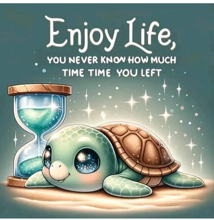 Seaturtle lovers club (@seaturtlelovers) on Twitter photo 