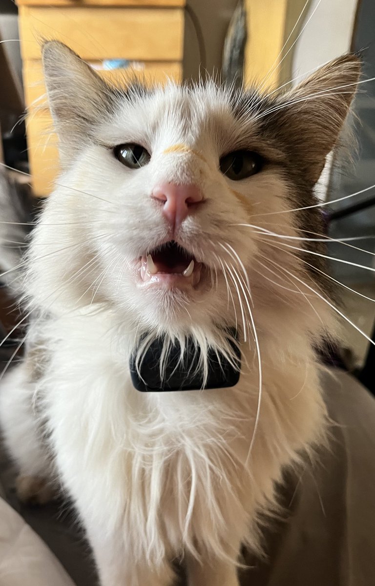 HankAndBrian's tweet photo. Don't you ever
Don't you ever
Stop being dandy
Showing me you're handsome https://t.co/h3gbj4CI0t