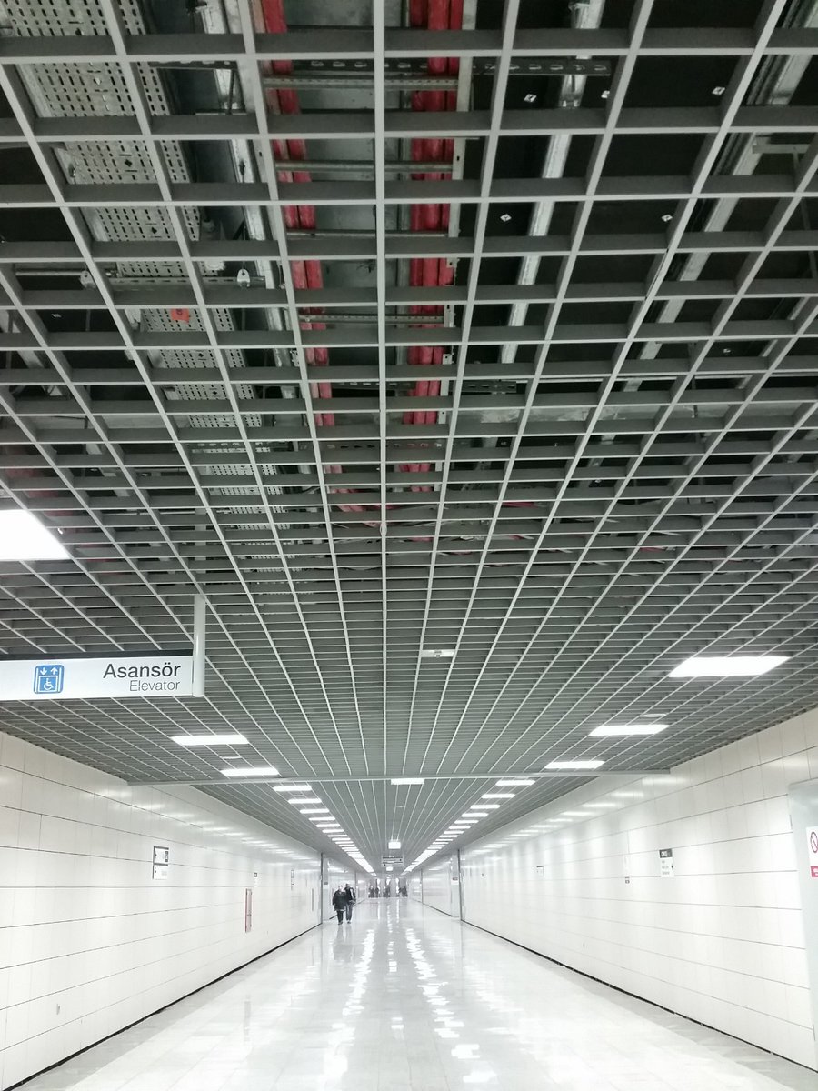 Özgürlük falan...