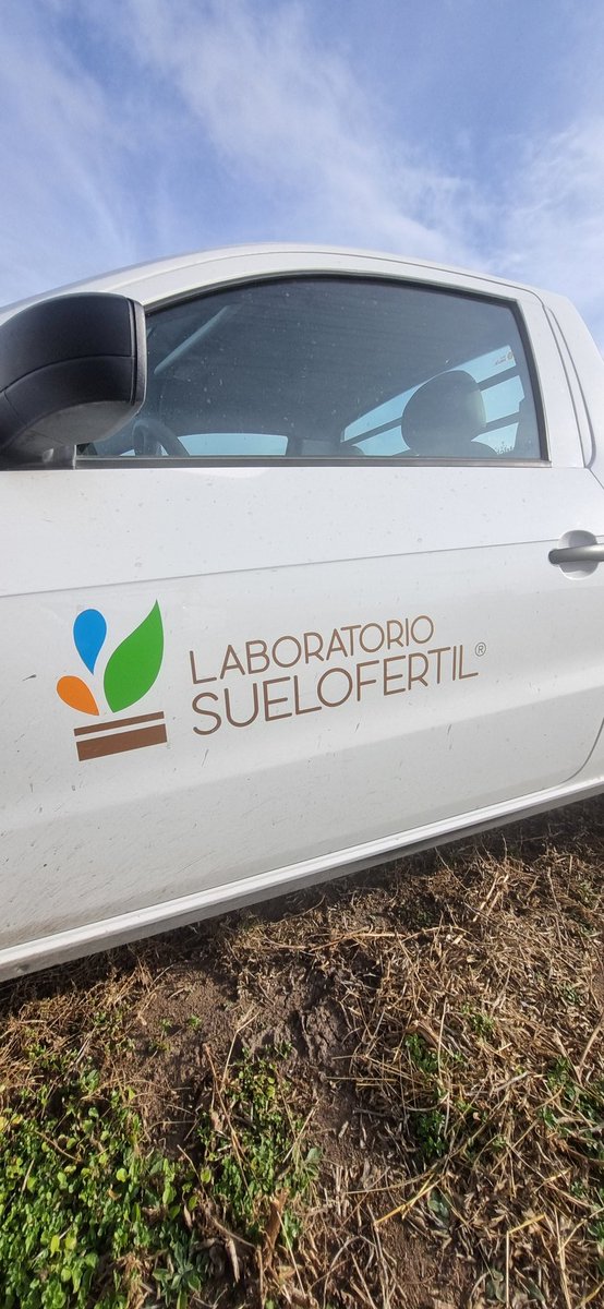 Román Domínguez tweet media