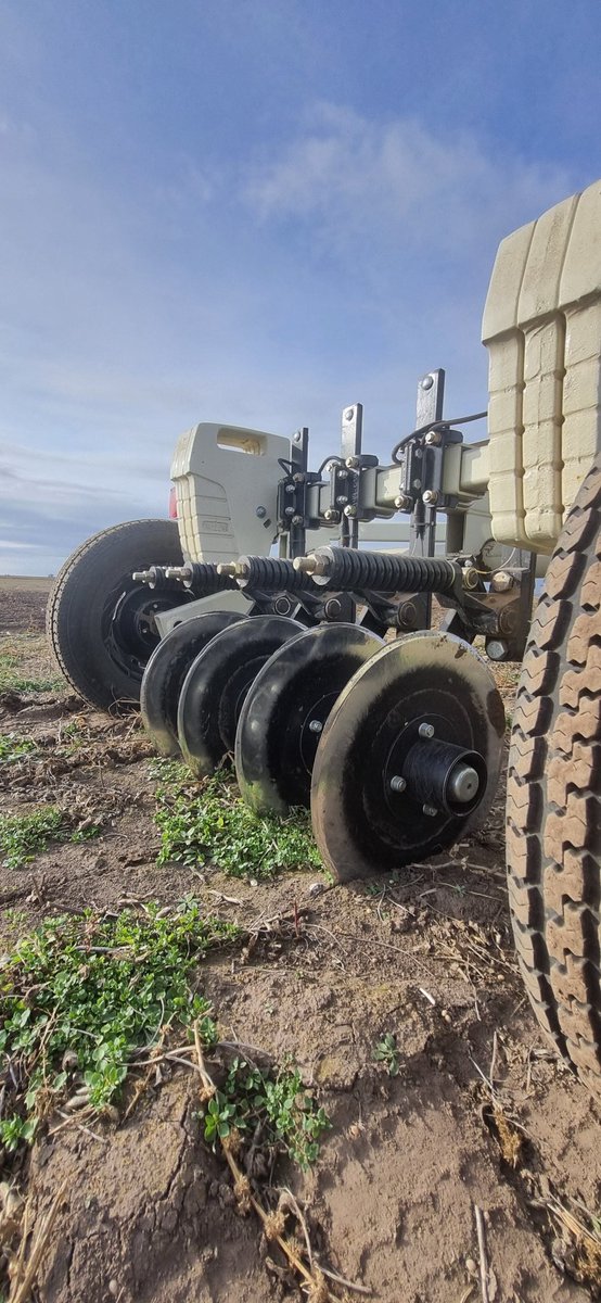 Román Domínguez tweet media