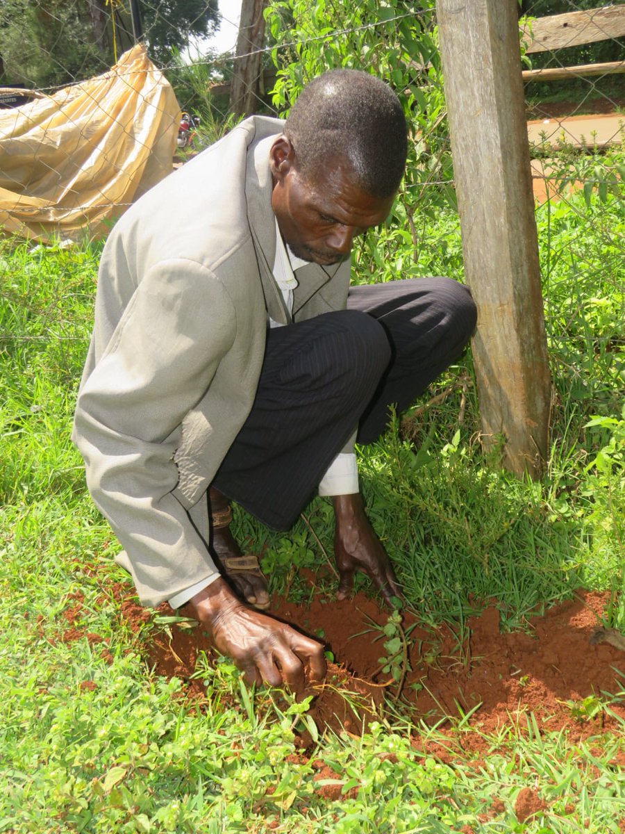 EcoaceOrg's tweet photo. Thank you for being a part of this important cause and helping to make a difference in our community.

Warm regards,

Francis Njoroge 
Eco-Ace Organization
Kimilili https://t.co/QTdVTS16tv
