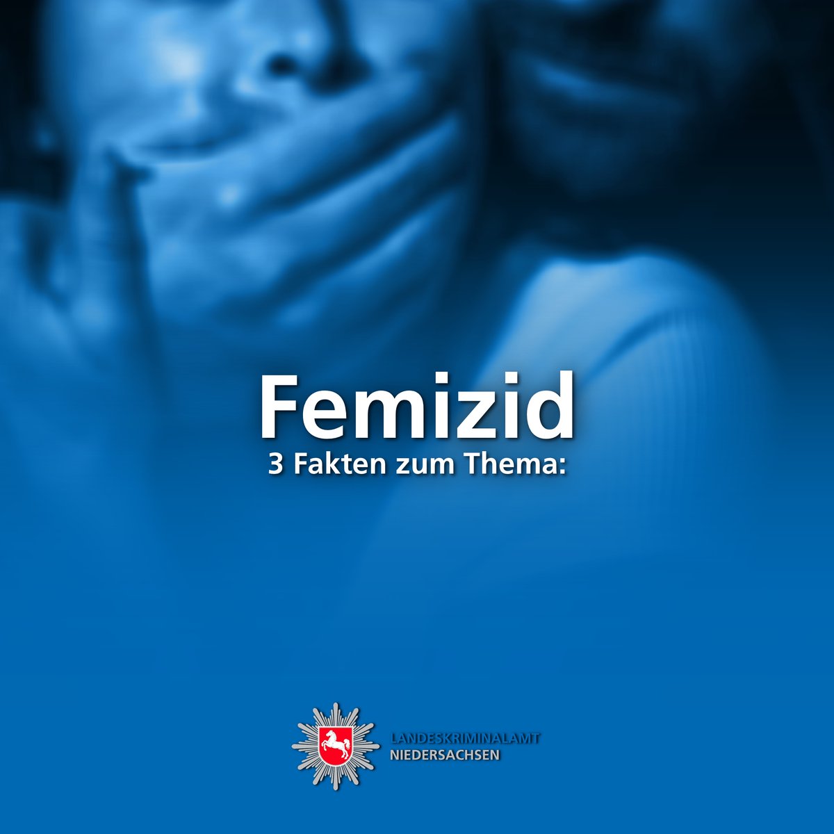 Polizeidirektion Lüneburg tweet media