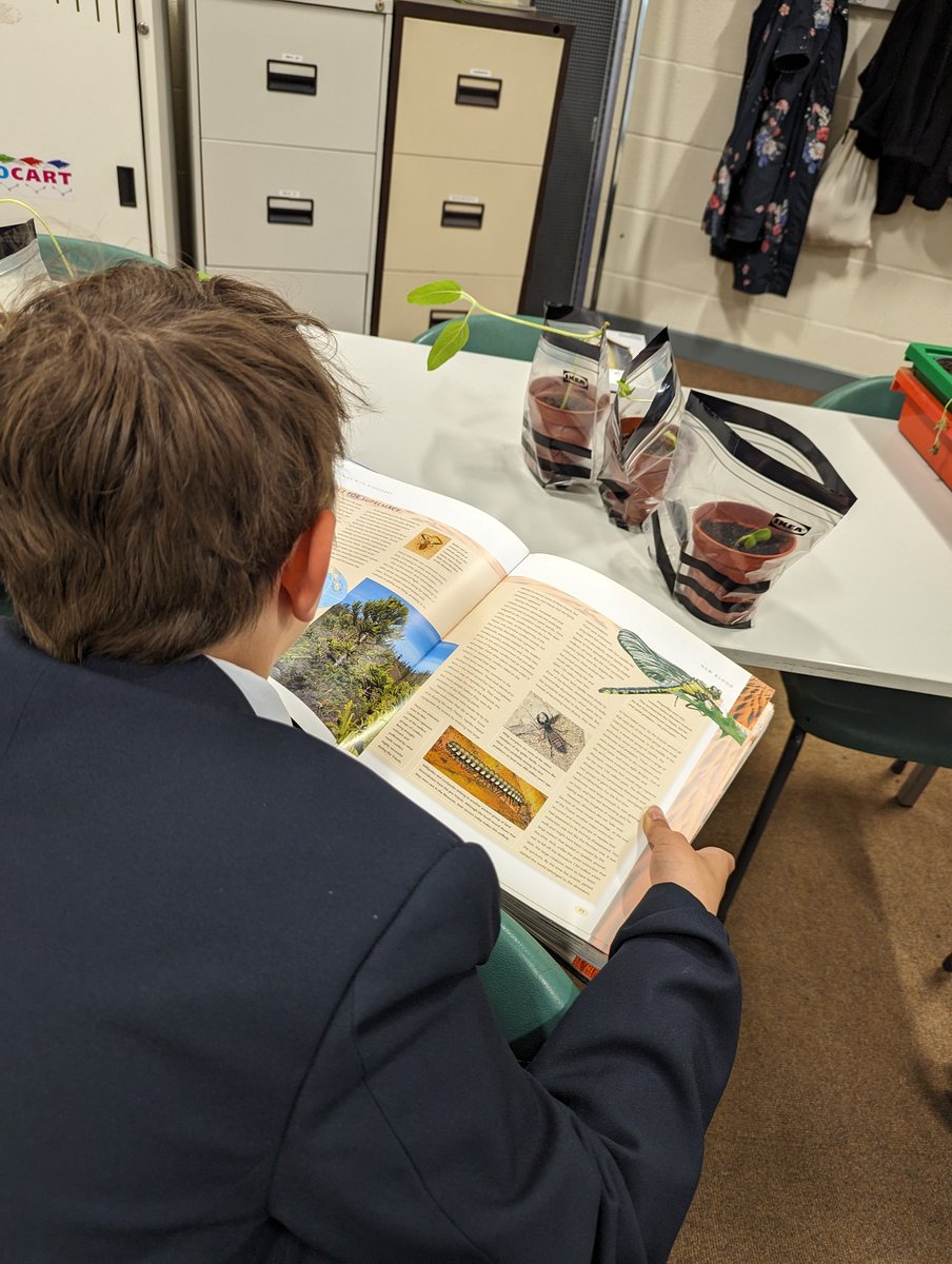 MissEMcLernon's tweet photo. Some of the plants weren't doing as well as others, so here's Alfie reading to them to provide extra carbon dioxide 🪴🤣 https://t.co/Ddteqk8QdI