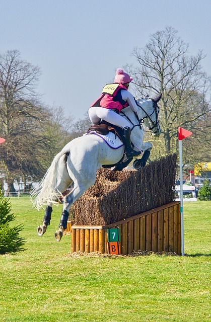 I'm excited to attend the Bolesworth International tomorrow, where I'll enjoy a spot of show jumping (watching, not taking part!) and business networking as part of the 'New Rural Land and Business Day' event.
If you are there, it would be great to catch up and say hello!