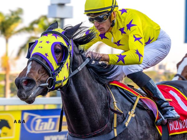 Hollywood Syndicate tweet media
