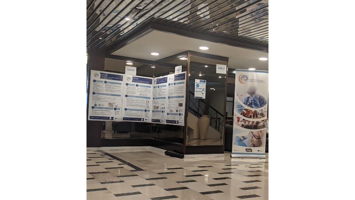 Great start to the 1st EUPAHW's Scientific Workshop in Thessaloniki. Our scientists engaged in discussions on the future of #EUPAHW's activities and strategy, focusing on animal infectious diseases and welfare #AnimalHealth #AnimalWelfare #Research