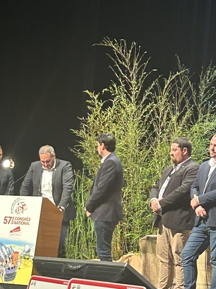 Jérôme Despey tweet media