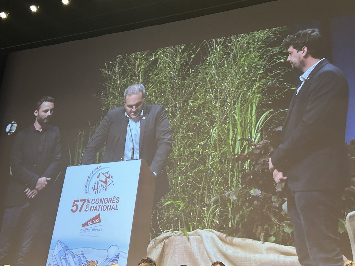 Jérôme Despey tweet media